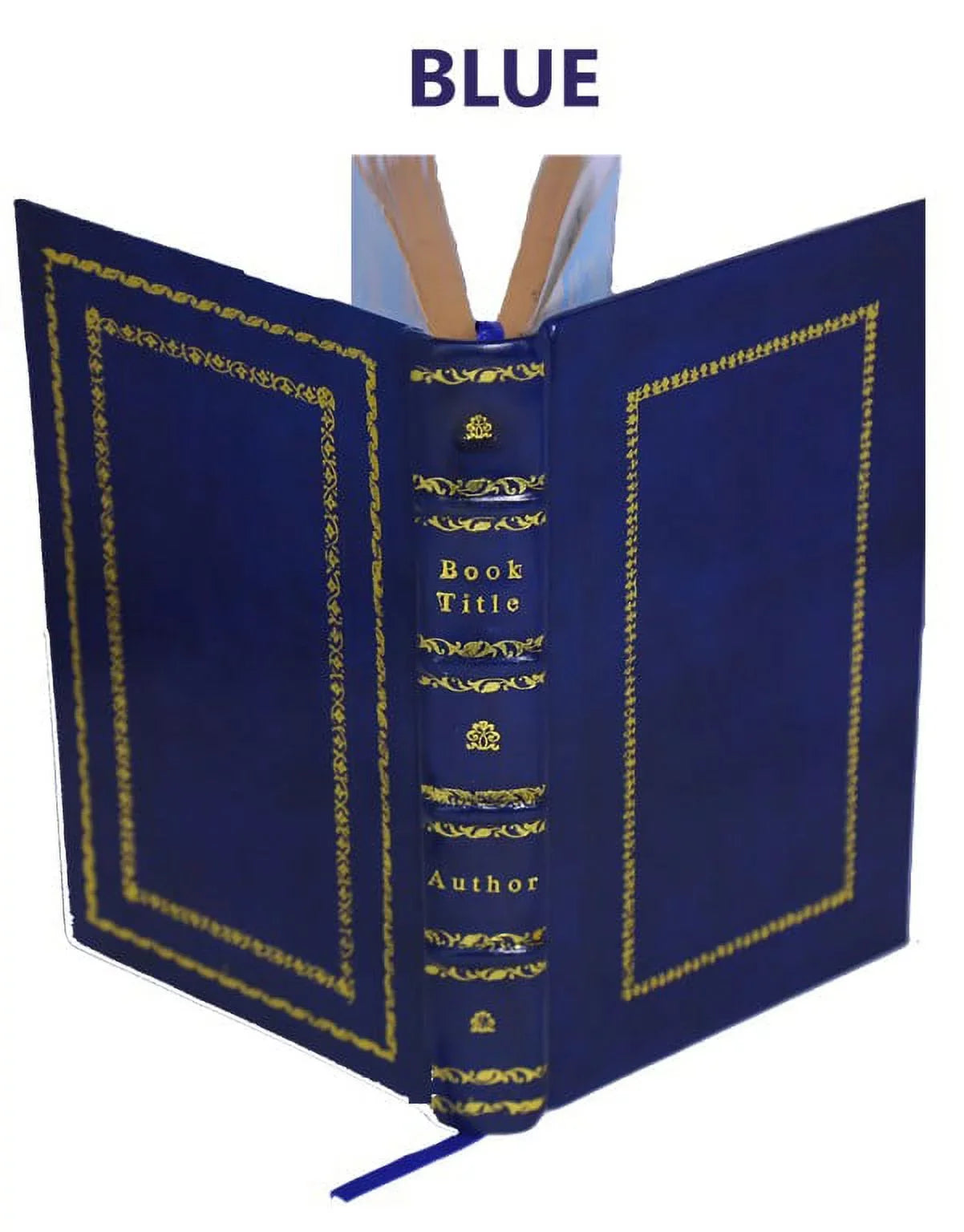 Apparitions; or, the mystery of ghosts, hobgoblins, and haunted houses, developed. Being a collection of entertaining stories, founded on fact ... 1815 [Premium Leather Bound]
