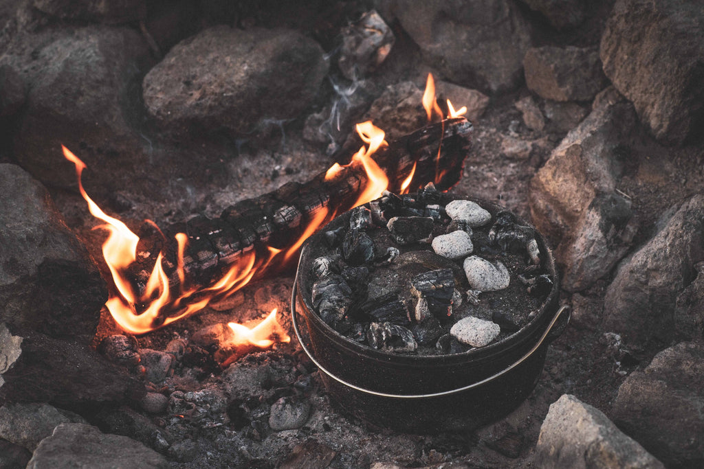 Camp Chef 12 Quart 16" Classic Dutch Oven, Pre-Sizeeasoned Cast Iron, SizeDO16