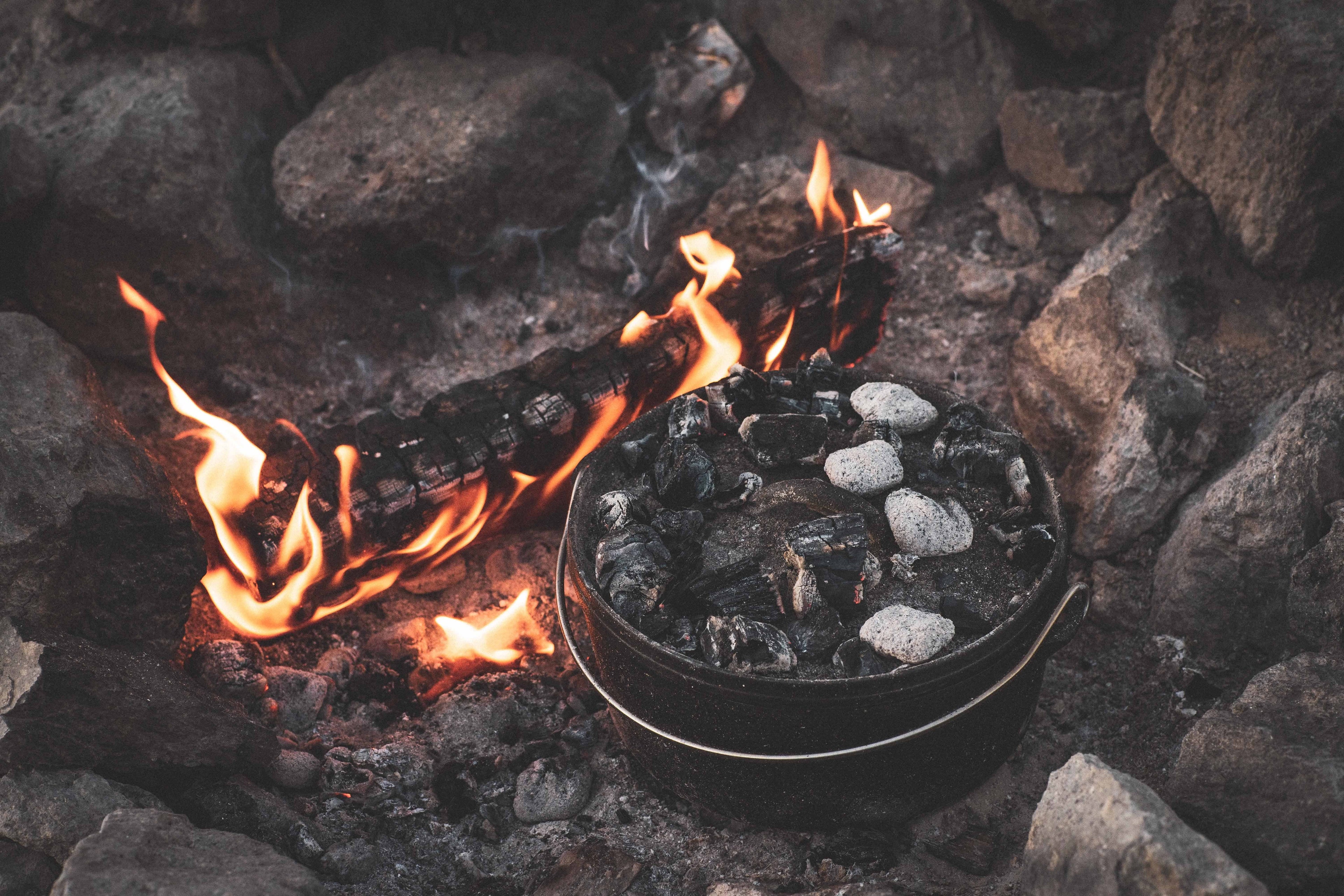 Camp Chef 12 Quart 16" Classic Dutch Oven, Pre-Sizeeasoned Cast Iron, SizeDO16