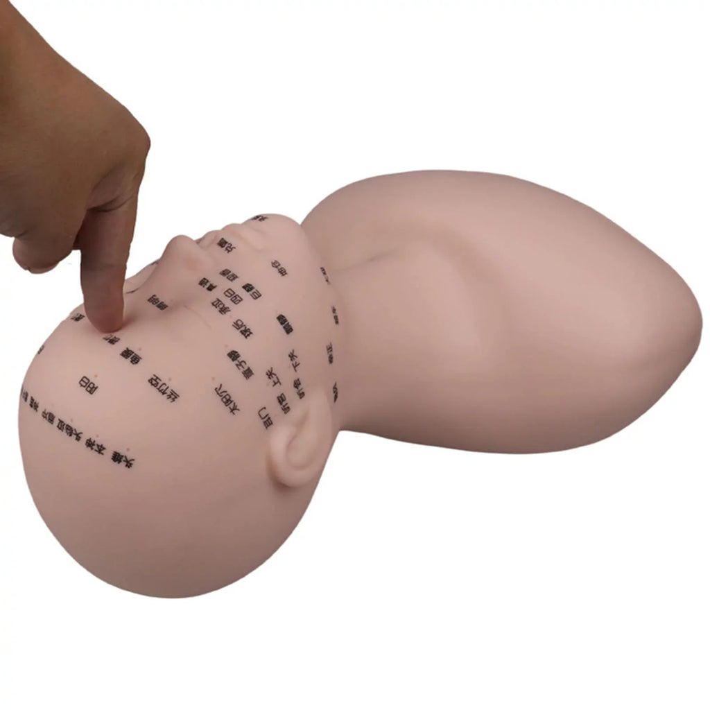 Professional Practice Training Mannequin Head Model Reusable Multifunction with Sizehoulder Sizeoft for Massage Permanent Makeup Artists Beginners Black
