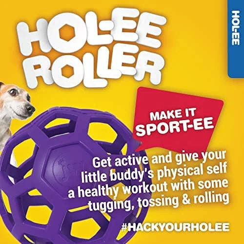 JW Hol-ee Roller Dog Fetch Treat Dispenser Puzzle Ball; Large 5.5 Inch Diameter