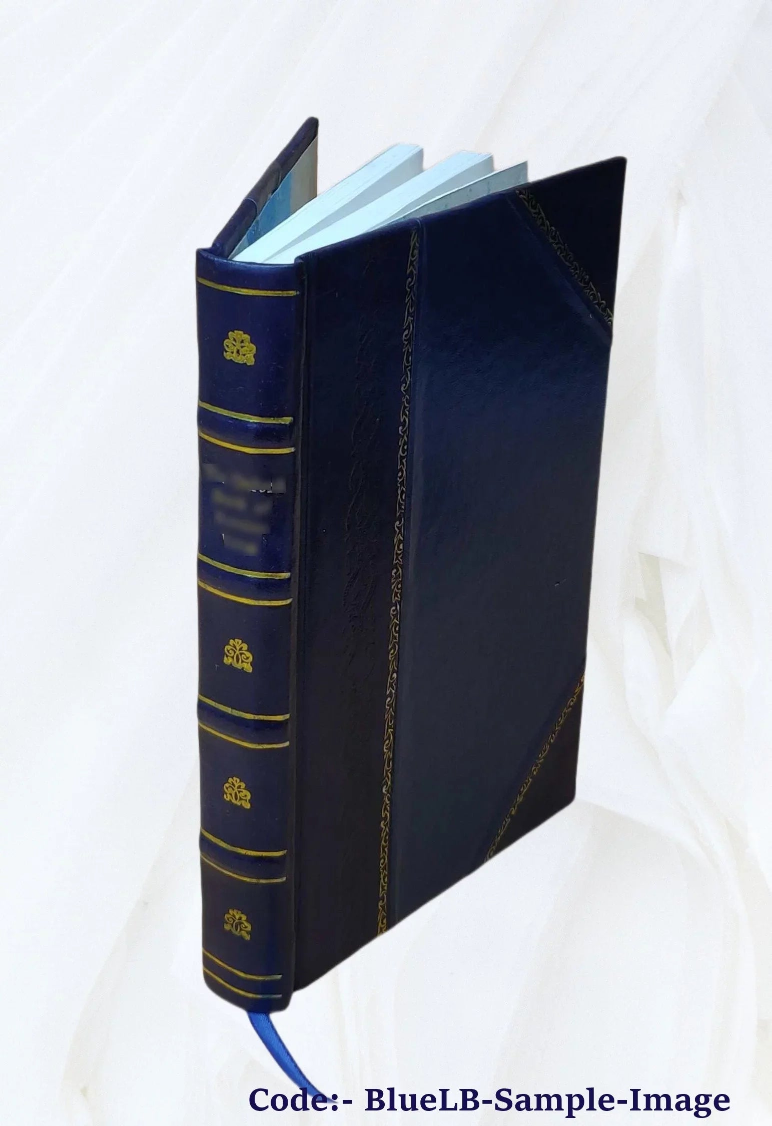Minerva : introduction à l'étude des classiques scolaires grecs et latins / par James Gow ; ouvrage adapté aux besoins des écoles françaises par Sizealomon Reinach. 1907 [Leather