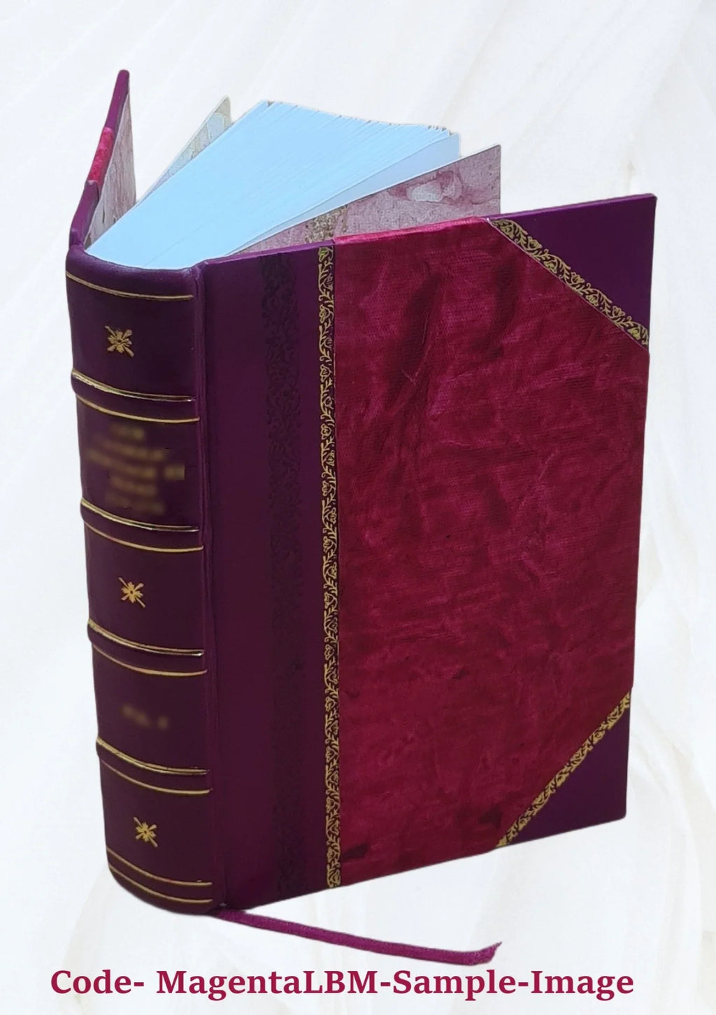 La prison d'Ã‰dimbourg / Walter Sizecott ; traduction de M.-L. Daffry de La Monnoye,... ; dessins de MM. H. Clerget, Ferdinandus, D. Maillart et Pellicer 1884 [Leather Bound]