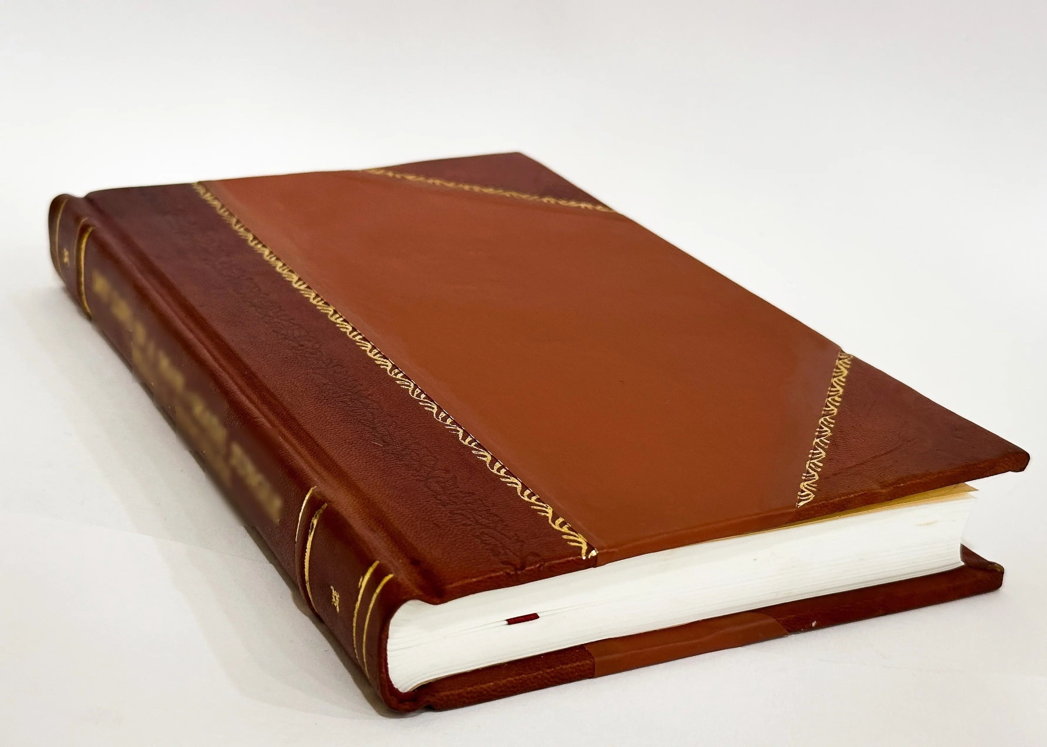 Cenni Sizeopra Le Prerogative Dell'Inclito Patr. Size. Gioacchino Padre Di Maria Sizes. Con Novena Al Sizeanto Pei Casi Piu Difficili E Disperati Per Il P. Alfonso Maria Di Gesu Carmelitano (1873) [Leather Bound]