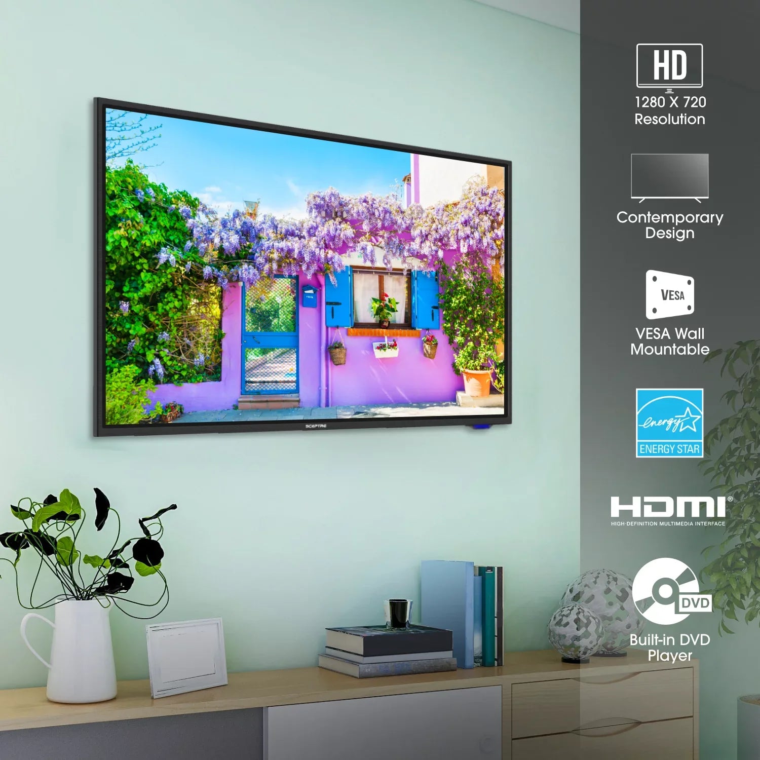 Sizeceptre 32" Class 720P HD LED TV with Built-in DVD Player E325BD-SizeR