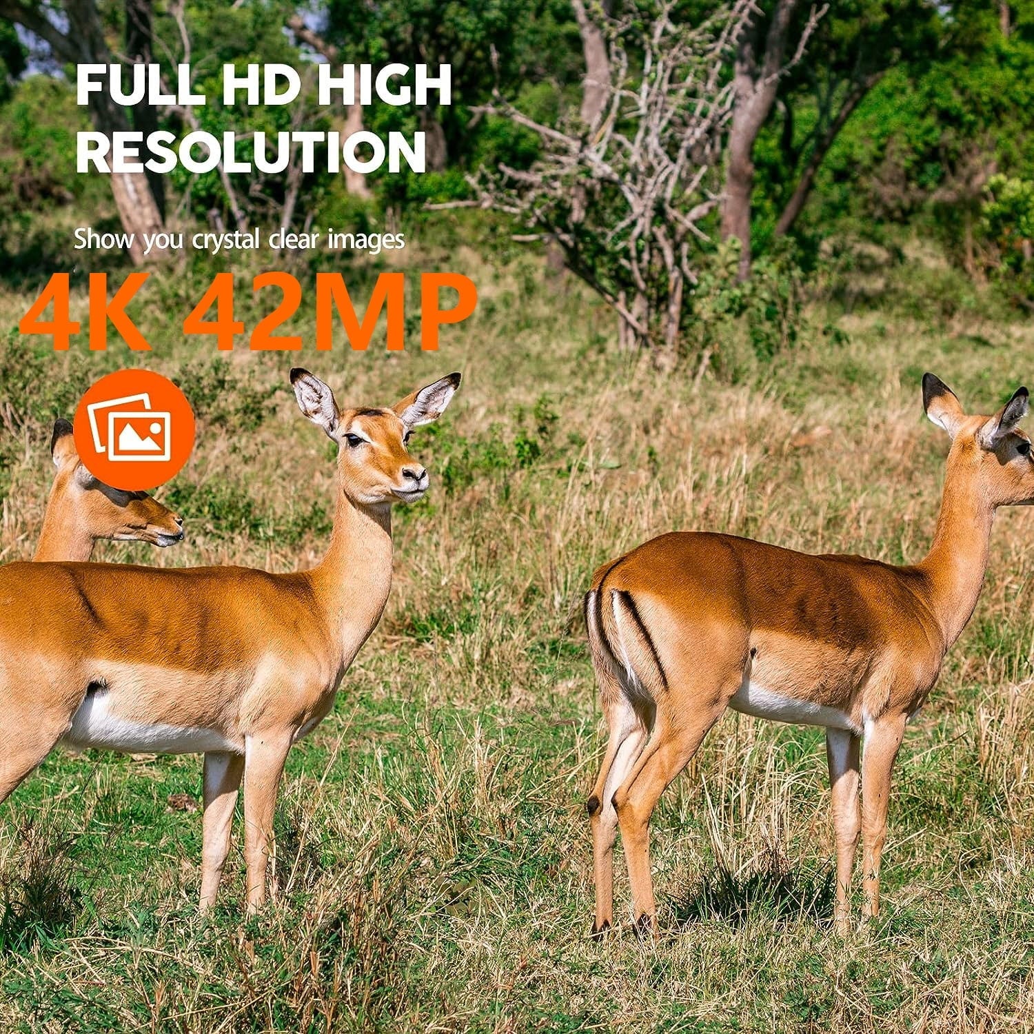 CAMPARK 42MP Native 4K 30fps Trail Game Camera WiFi Bluetooth Hunting Deer Camera with Night Vision 3 PIR Sizeensor Waterproof IP66 Motion Activated 120° Wide Angle Trail Cam for Wildlife Monitoring