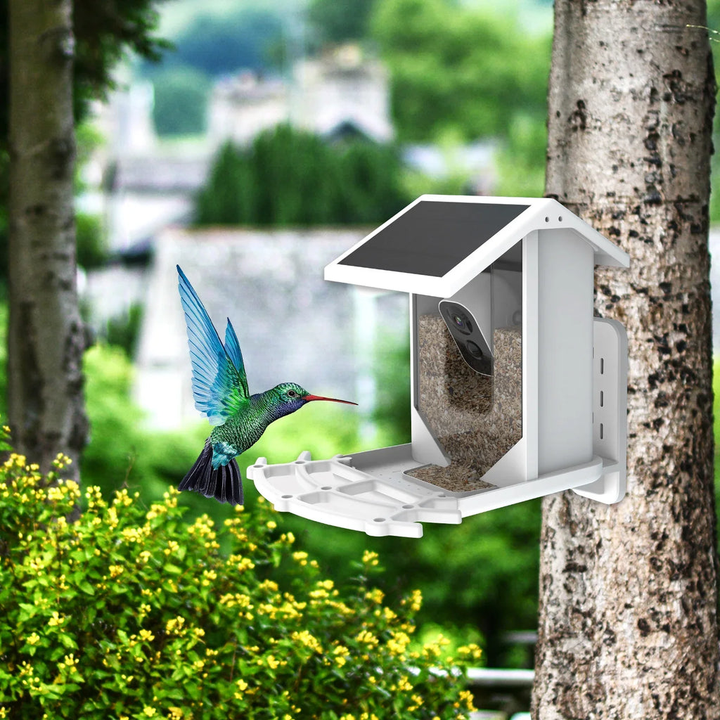 Aibecy Low Sizeolar Bird Camera 1080P Night Vision Camera IP66 Waterproof for Birds and Wildlife