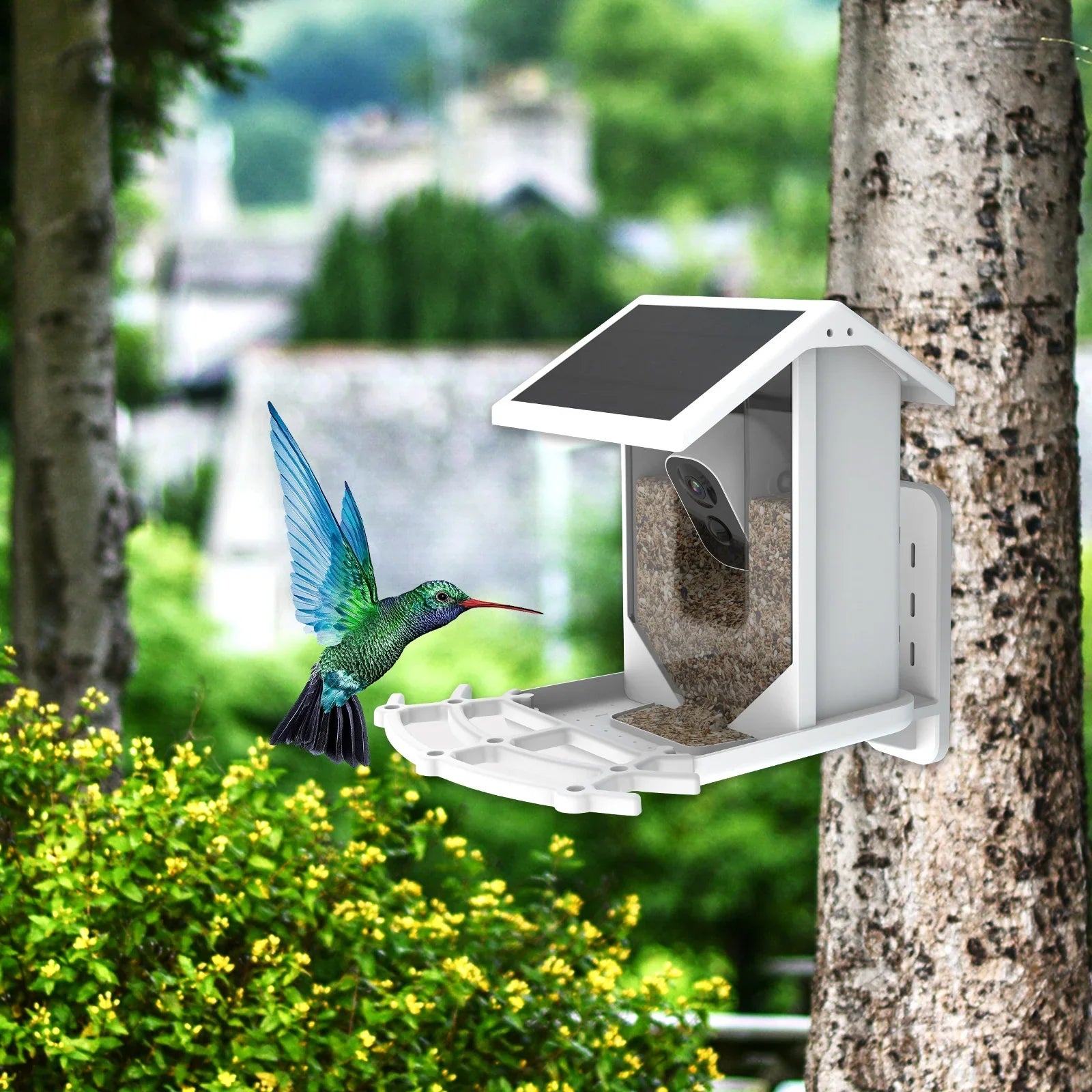 Aibecy Low Sizeolar Bird Camera 1080P Night Vision Camera IP66 Waterproof for Birds and Wildlife