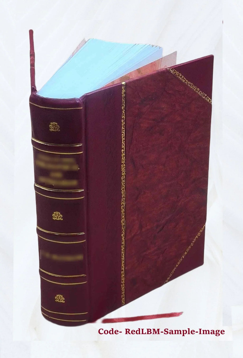 Reports from the Lords Committees Touching the Dignity of a Peer of the Realm, &c. &c. With appendixes. Vol. I-[V]. Volume v.4 appx.1 pt.2 1829 [Leather Bound]