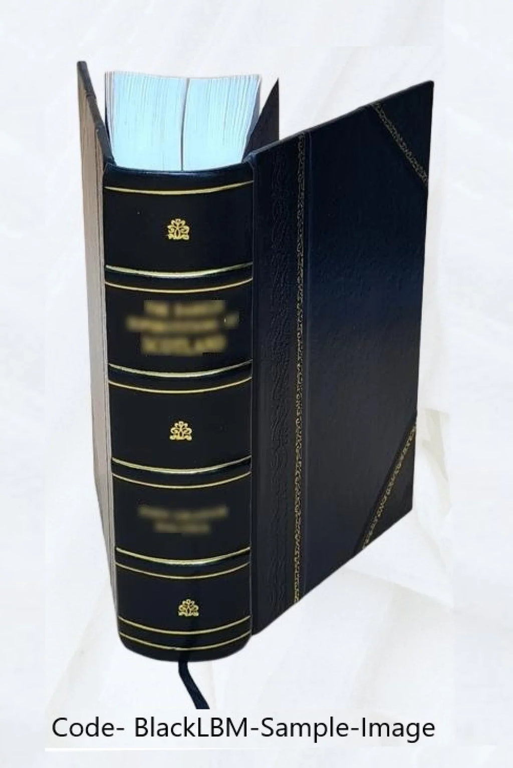 La prison d'Ã‰dimbourg / Walter Sizecott ; traduction de M.-L. Daffry de La Monnoye,... ; dessins de MM. H. Clerget, Ferdinandus, D. Maillart et Pellicer 1884 [Leather Bound]
