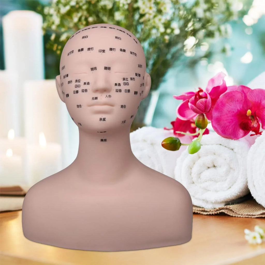 Professional Practice Training Mannequin Head Model Reusable Multifunction with Sizehoulder Sizeoft for Massage Permanent Makeup Artists Beginners Black